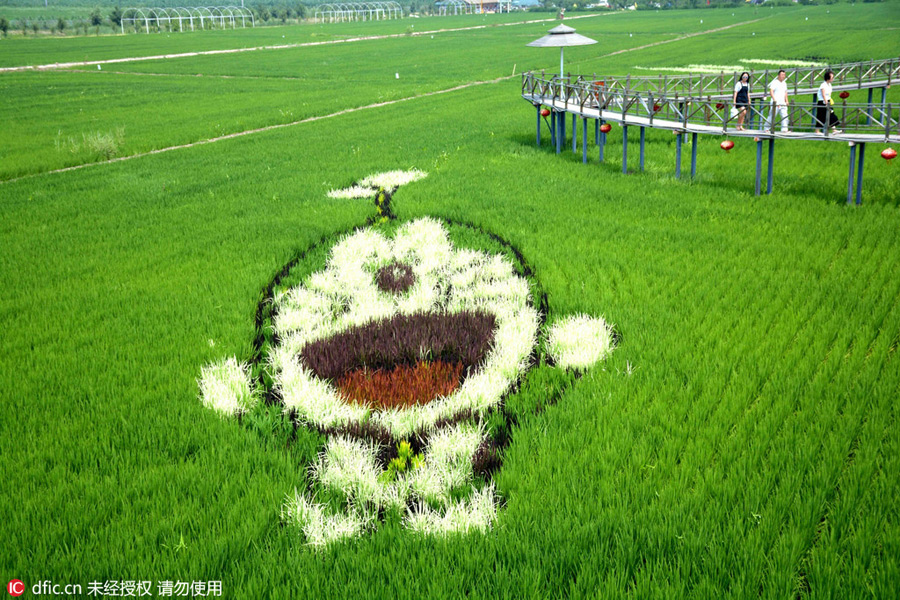 3D Tanbo art pictures shine in Liaoning