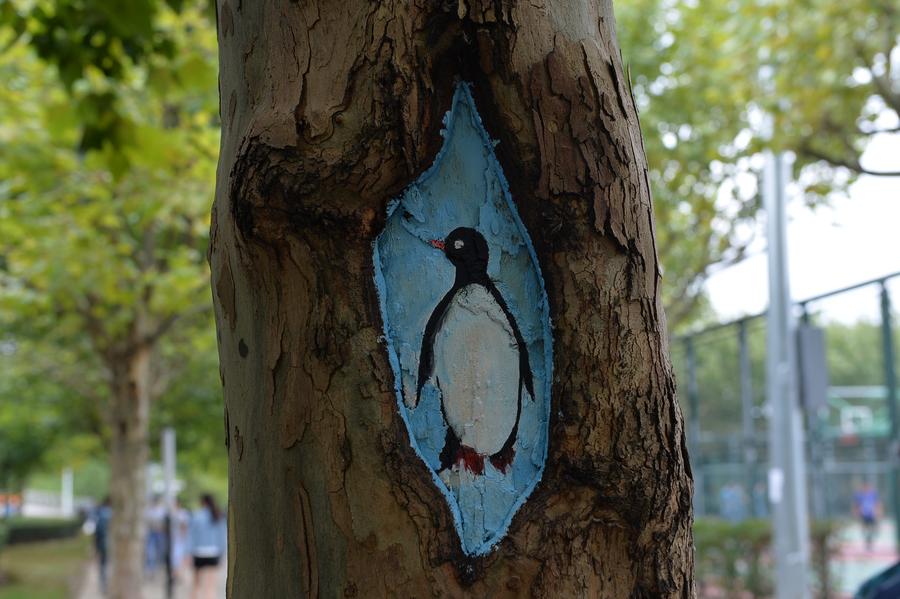 Tree hollow paintings created to greet freshmen