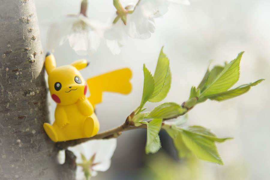 When anime figurines meet cherry blossoms