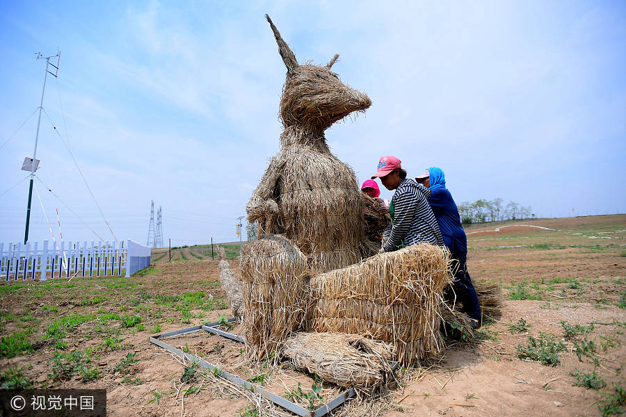 Straw sculptures attract visitors in Shenyang