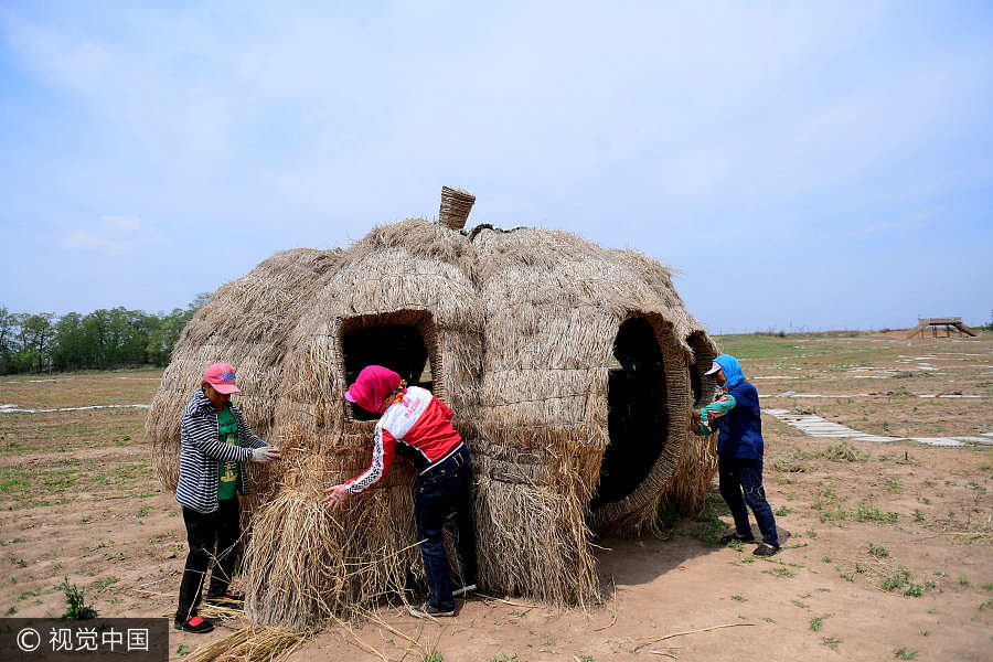 Straw sculptures attract visitors in Shenyang