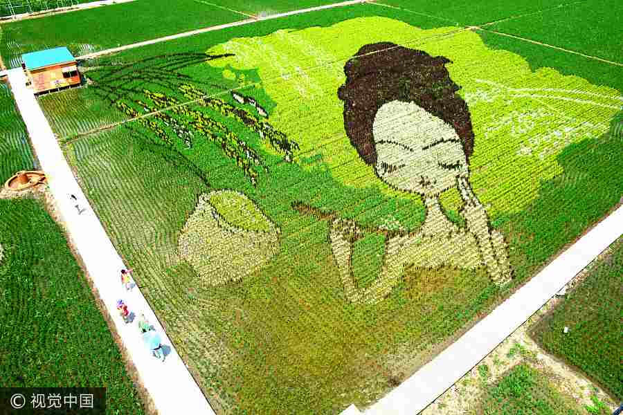 Paddy field in Shenyang transformed into art