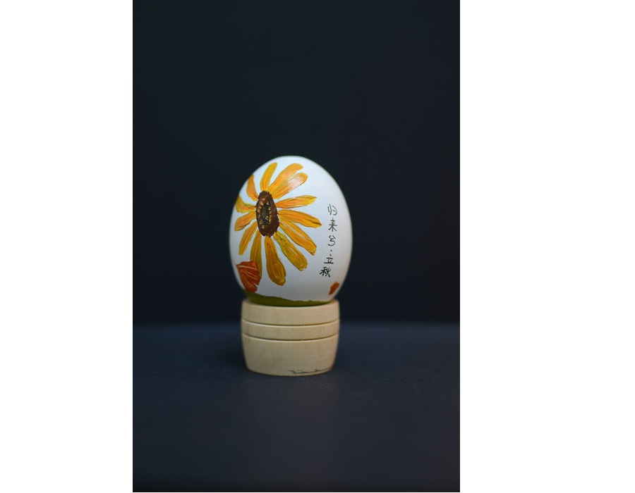 Young artist swaps conventional canvas for eggshells