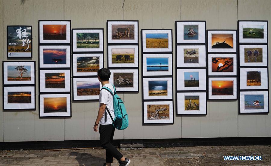 Highlights of 17th Pingyao Int'l Photography Festival