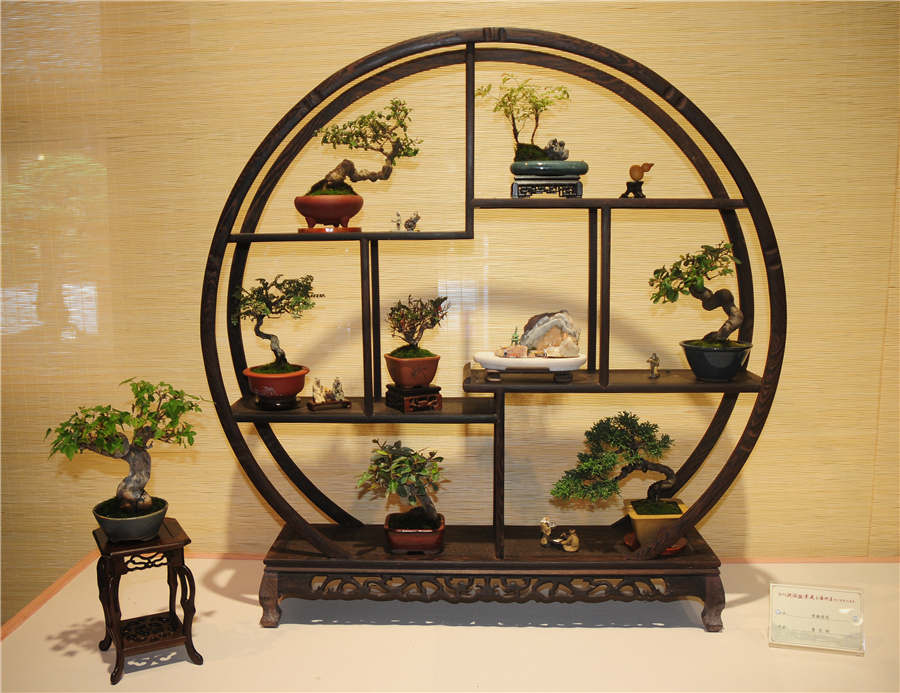 Zhejiang-style bonsais on show in Hangzhou