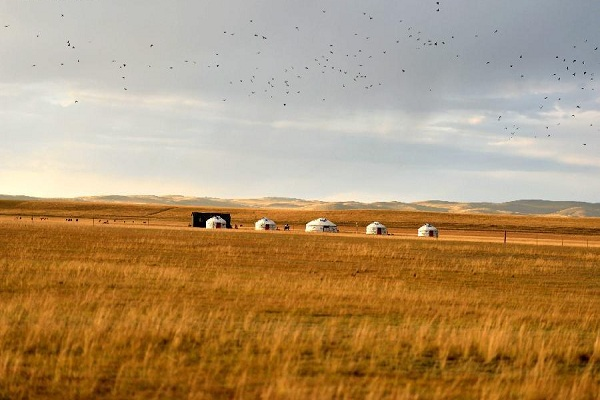 Inner Mongolia to prioritize grasslands conservation