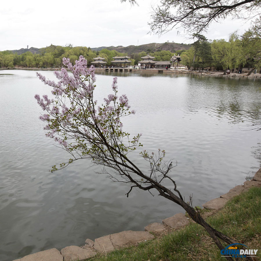 Heritage through lenses:Mountain Resort and its Outlying Temples,Chengde