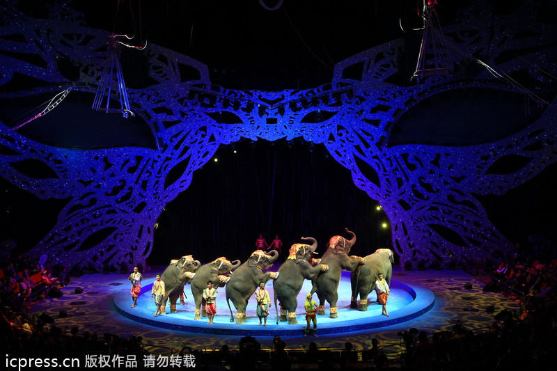 Massive circus comes to town in Zhuhai