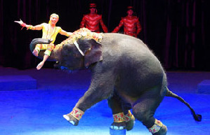 Chinese acrobatic drama performed in Germany
