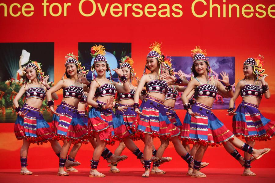 Art performance for overseas Chinese held in India