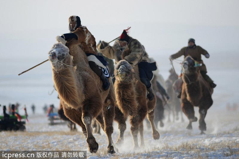 Winter Naadam festival opens in Inner Mongolia