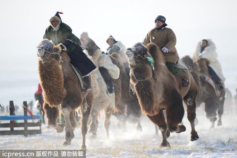 Winter Naadam festival opens in Inner Mongolia