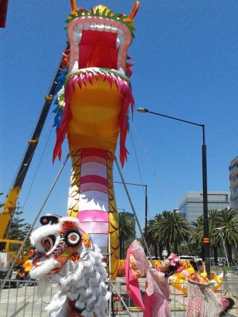 Massive dragon brought to life in Melbourne