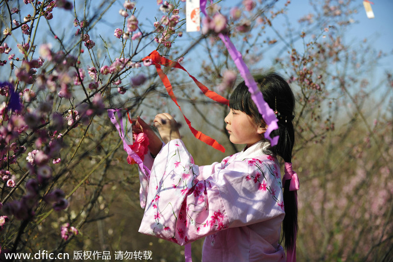 Luoyang traditional flower festival