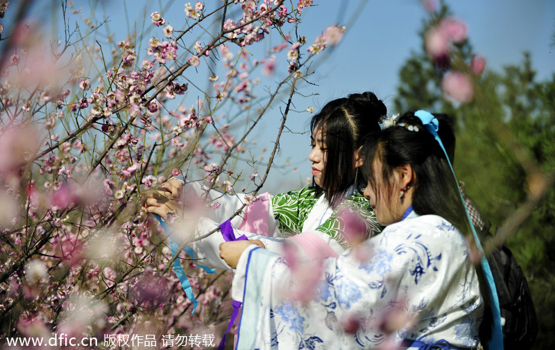 Luoyang traditional flower festival[4]- Chinadaily.com.cn