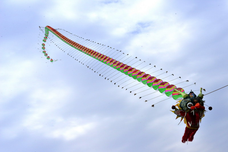 Weifang hosts annual kite festival