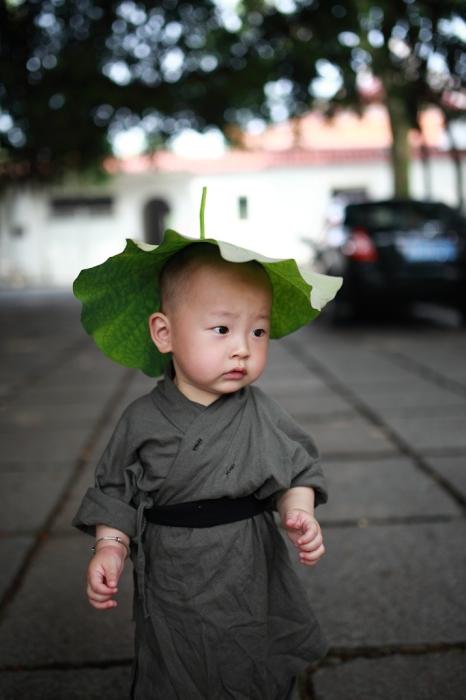 Xichan Temple's little monk hits the Internet