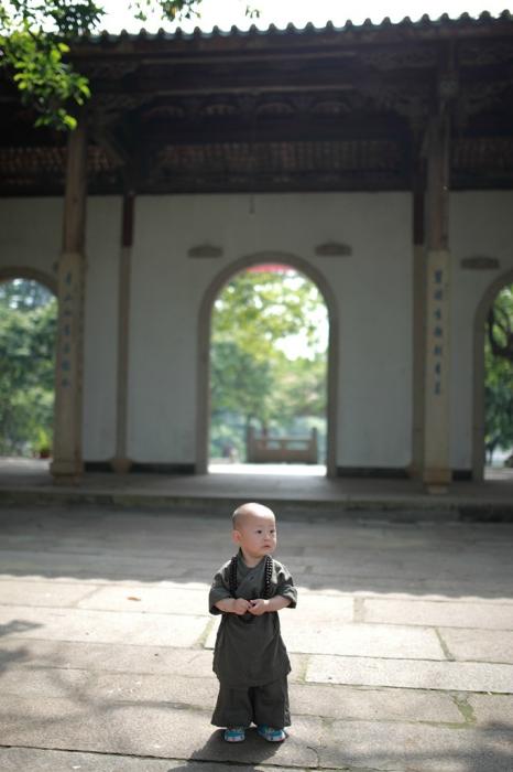 Xichan Temple's little monk hits the Internet