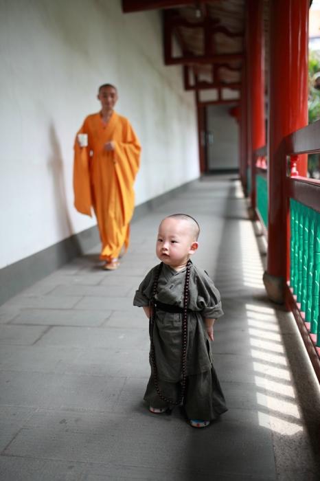 Xichan Temple's little monk hits the Internet