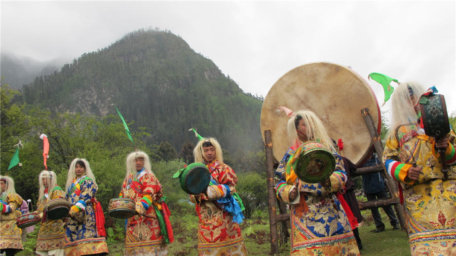 8th Yellow Peony festival held in Tibet