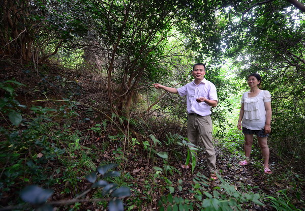 Ancient bronze vessel reunited with lid in Hunan