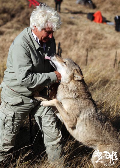 Chinese actor dances with wolves