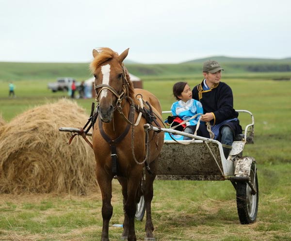 'Dad Where're We Going?' on Hulunbuir grassland