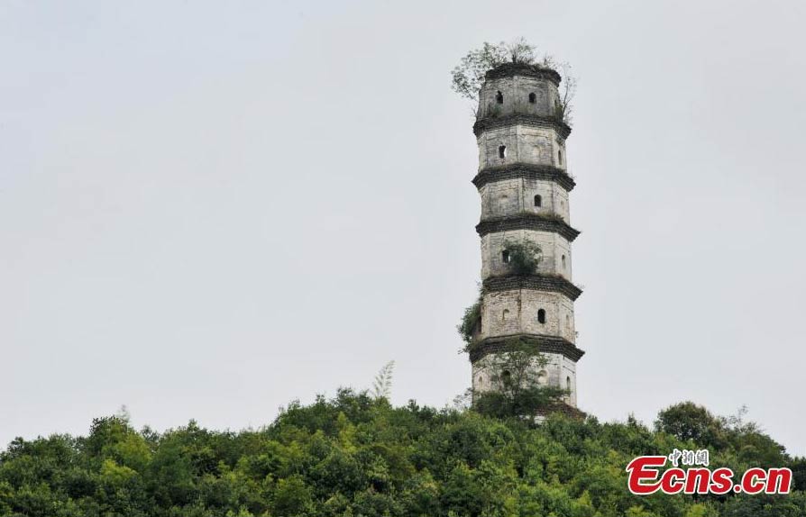 Half-structure-left pagoda stands for 500 years