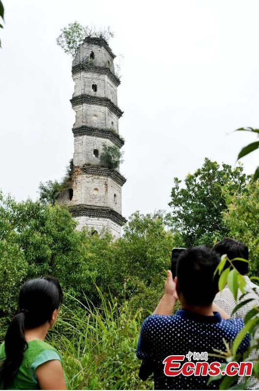 Half-structure-left pagoda stands for 500 years