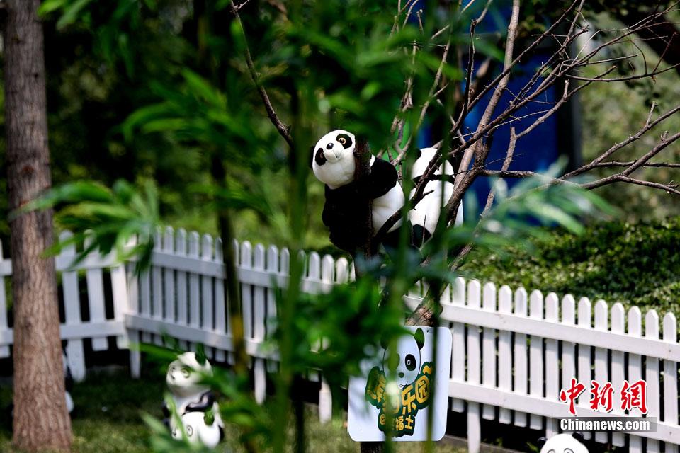 300 'Pandas' shown in Beijing