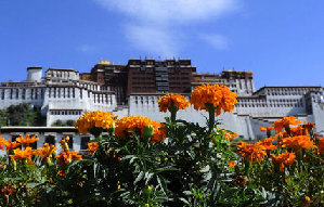 People celebrate Shoton Festival at Drepung monastery, Tibet