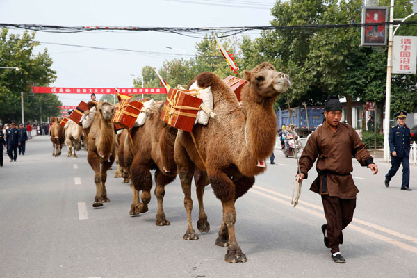 Silk Road Cultural Journey launched in NW China