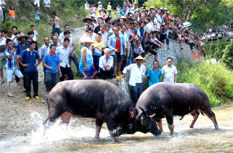 Elders celebrate Chongyang Festival across China