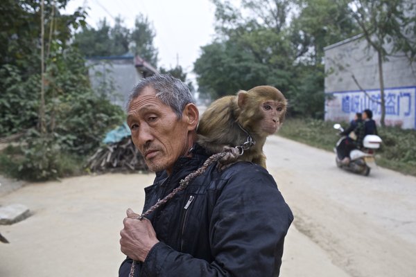 Joy and sorrow of monkey trainers