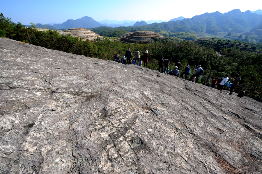 Experts gather in Zhejiang to study rock paintings