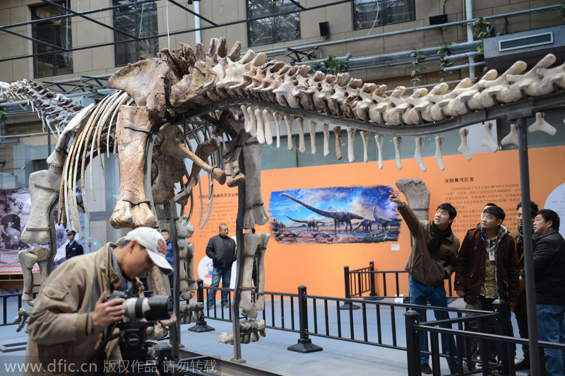 World's biggest dinosaur skeleton shown in Beijing