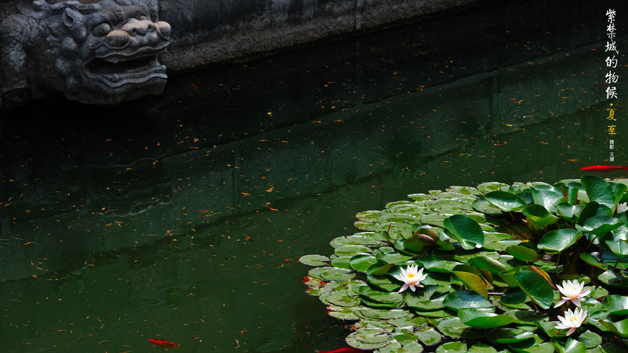 Photos reveal beauty of four seasons at Palace Museum (part 1)