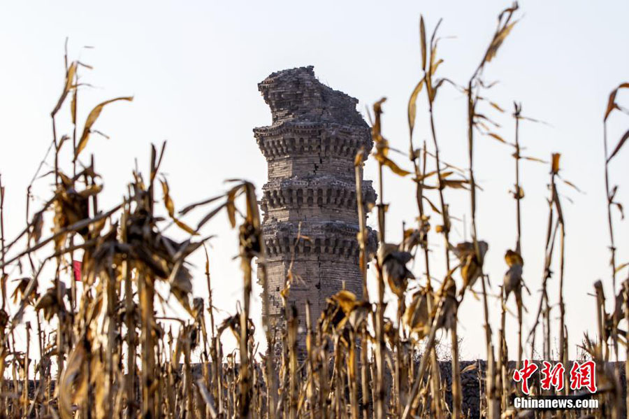 Ancient pagoda needs urgent repairs