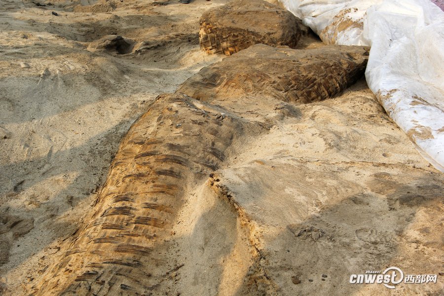 Ancient ship wreckage discovered in Xi'an