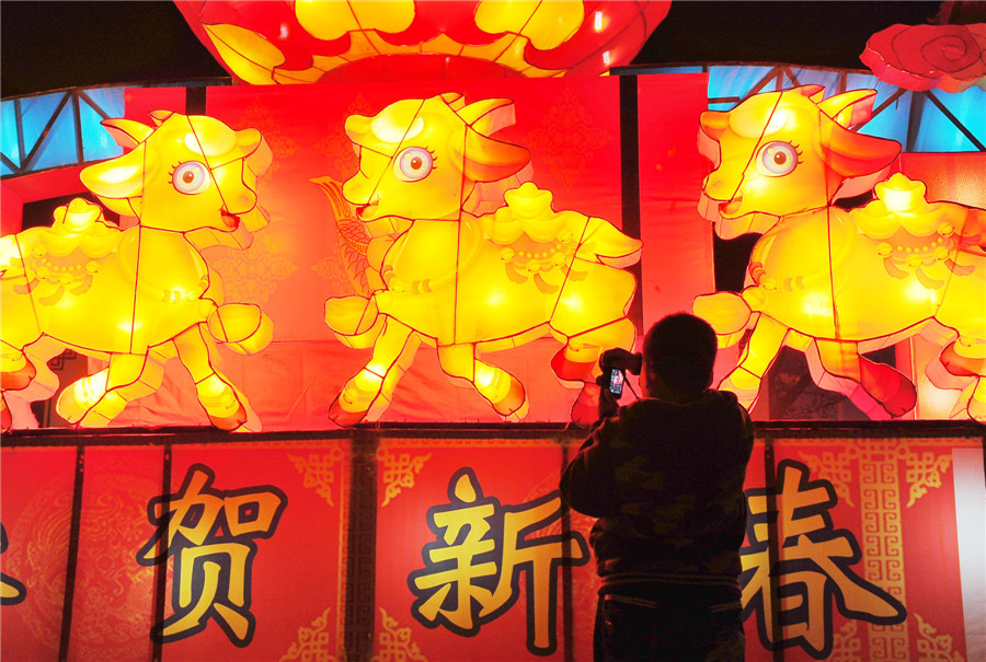 Colorful lanterns burnish Spring Festival celebration in E China