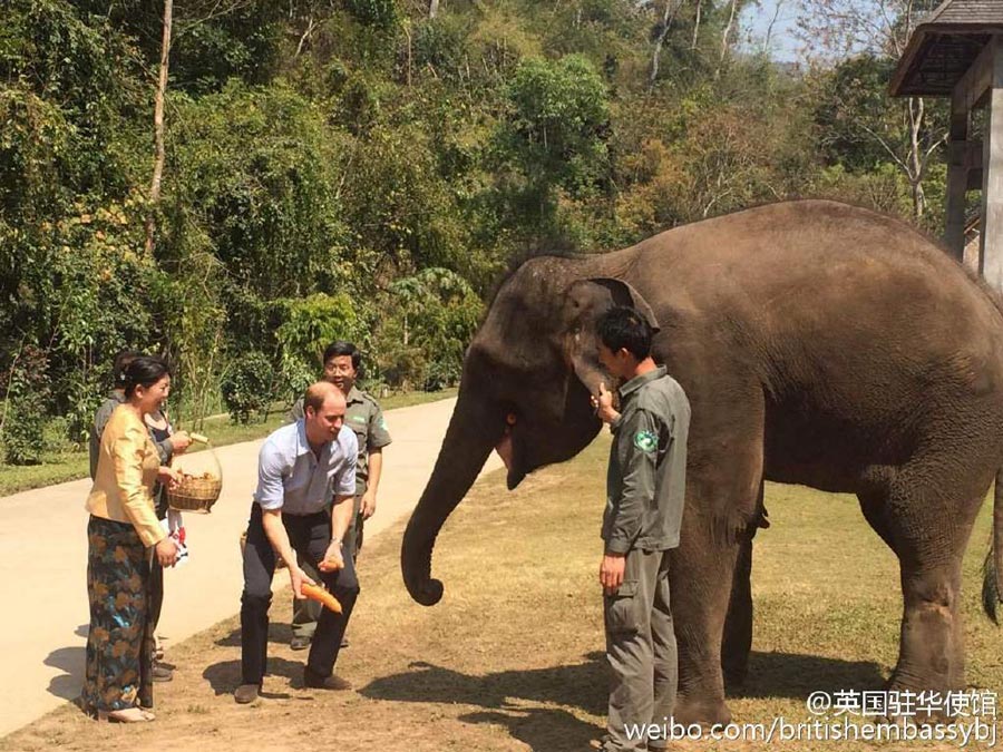 Prince William visits Asian elephant park