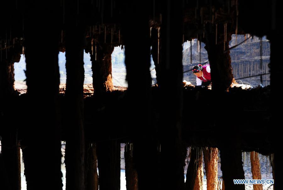 Oldest method of salt production seen in Tibet