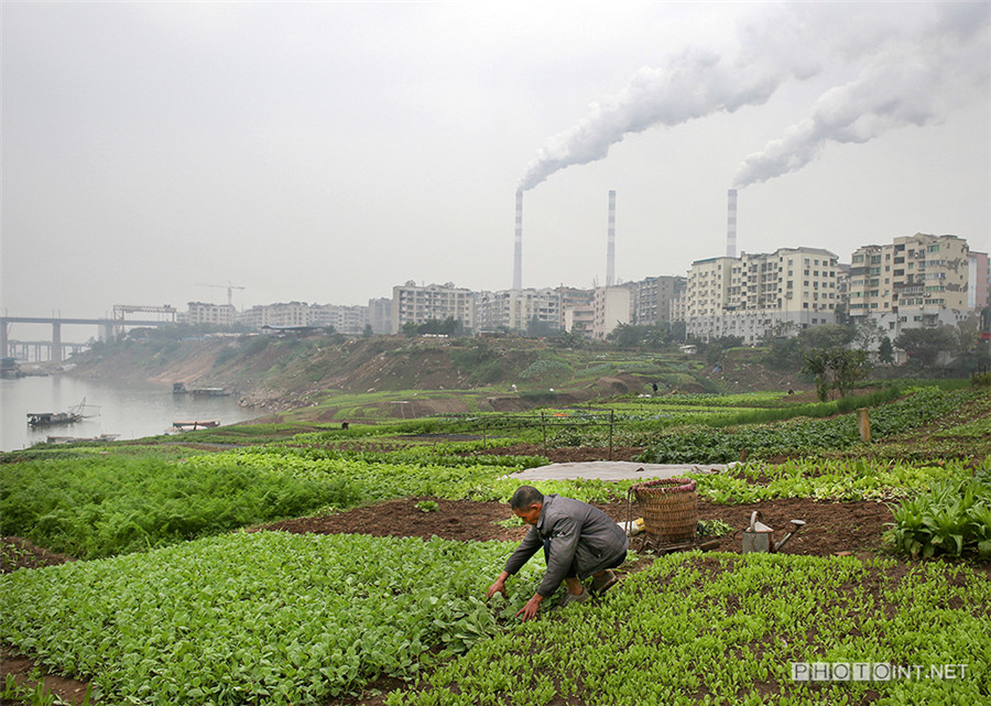 Photos capture streams of smoke