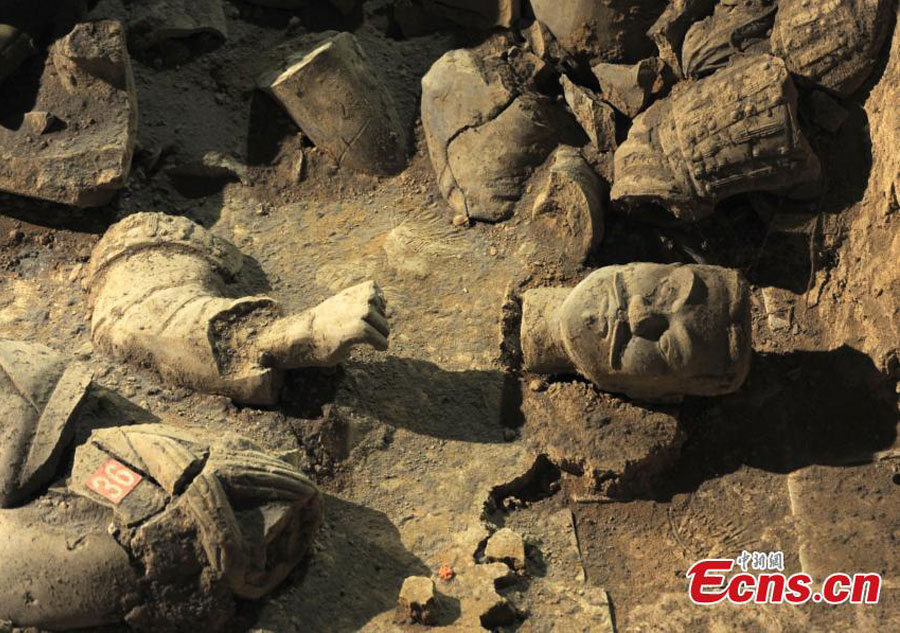 Terracotta Warrior Army site starts new excavation