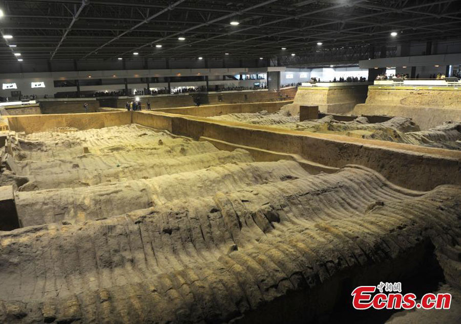 Terracotta Warrior Army site starts new excavation