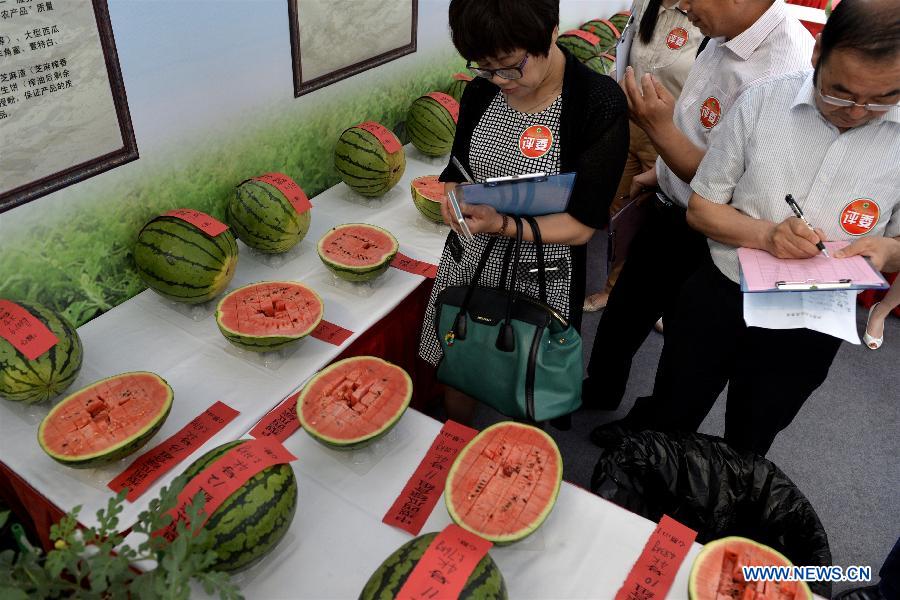 27th Daxing Watermelon Festival held in Beijing