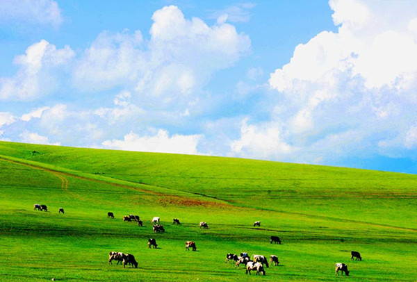 Symbols represent Inner Mongolia’s cultural heritage