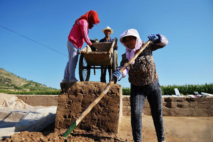 Archaeological excavation restarts at site of Majiayao Culture