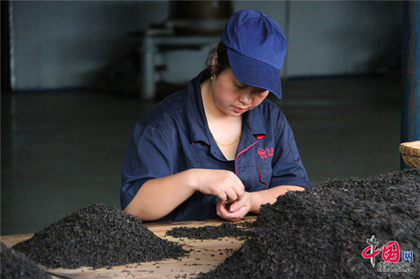 Production techniques of Tibetan tea in the Ancient Tea Horse Road