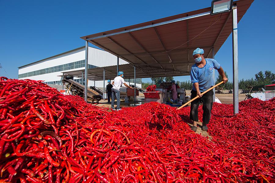 Harvest season colored by ripe crops around China